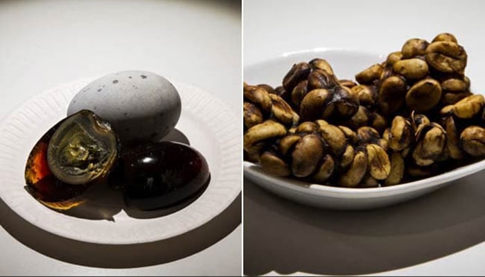 Maggots, licorice and cobra hearts at Sweden's 'Disgusting Food Museum'