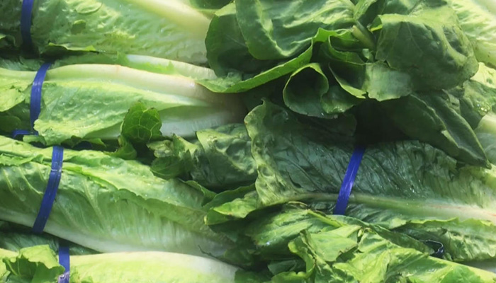 E. coli lettuce outbreak traced to California