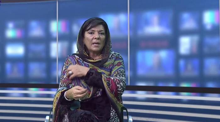 Aleema Khan did not seek amnesty on Dubai property, SC told