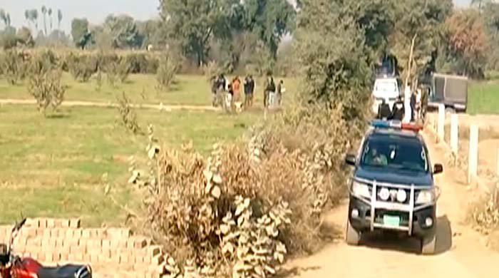Couple found hanging from tree in Kasur Couple found hanging from tree in Kasur