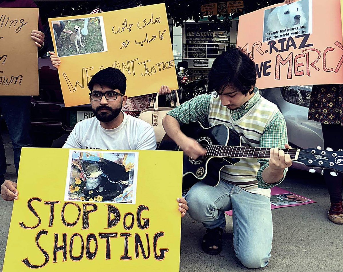 Can these animal rights activists win their fight against cruel killing of stray dogs?