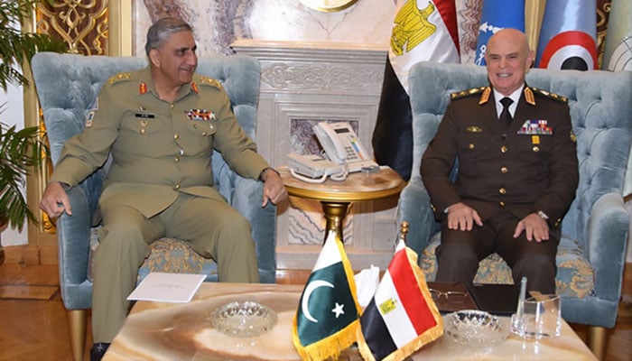 Egypt praises Pak efforts in war against terrorism during Gen Bajwa's visit
