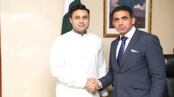 Hope for overseas Pakistanis 