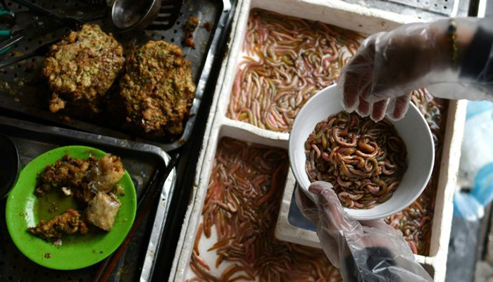 Critter fritter: Hanoi's winter worm cakes delight diners