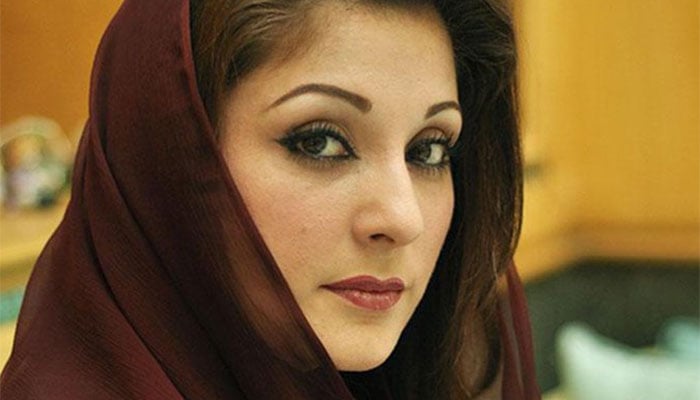 Maryam Nawaz can take the party forward: Raja Zafarul Haq