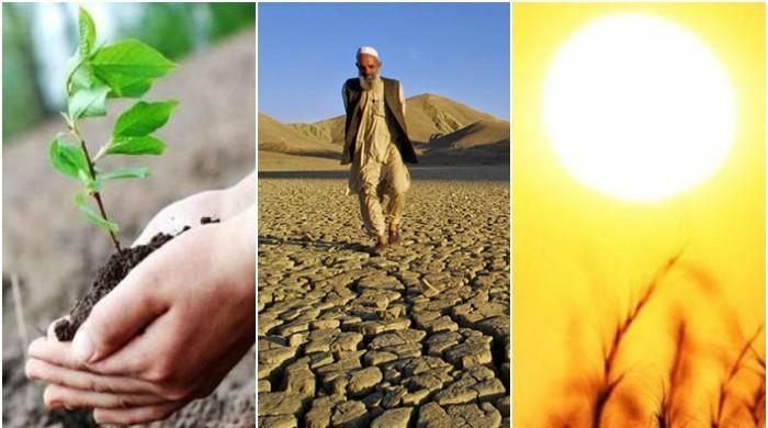 Sinkholes, hottest day and a billion trees: Pakistan’s climate scorecard in 2018