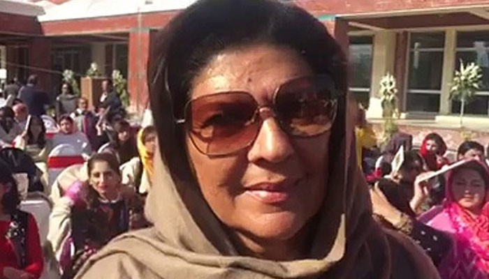 Irate PML-N, PPP leaders demand probe into Aleema Khan’s properties 