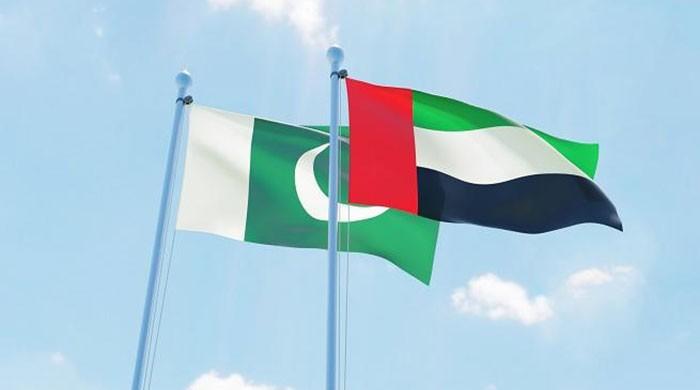 Pakistani doctor consulting online from UAE