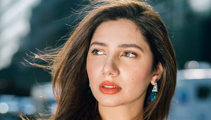 Mahira Khan shared a picture of her favourite magnet and the Internet is in fits