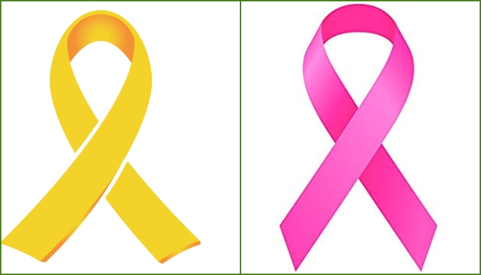 PSL to observe Childhood Cancer and Breast Cancer Awareness Days