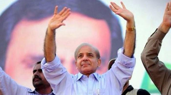 LHC accepts Shehbaz Sharif's bail petitions, orders release