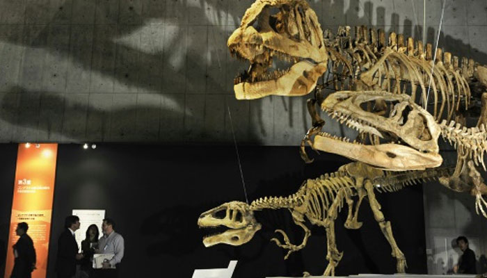 Were dinosaurs killed off by asteroid or volcanoes? It's complicated