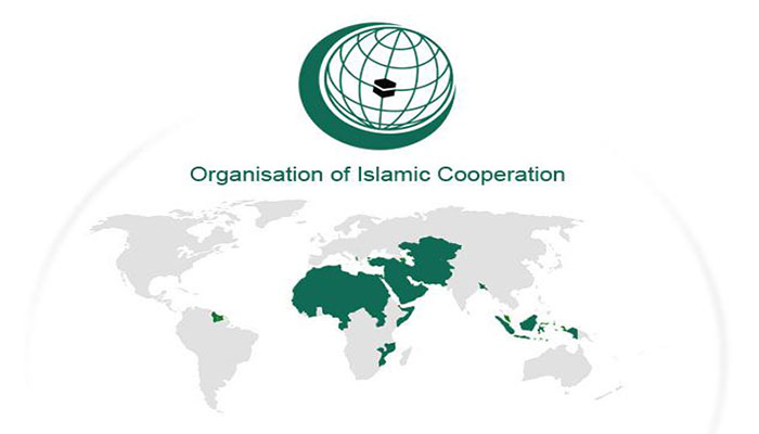 Opposition calls for boycott of OIC meeting over invitation to Indian FM