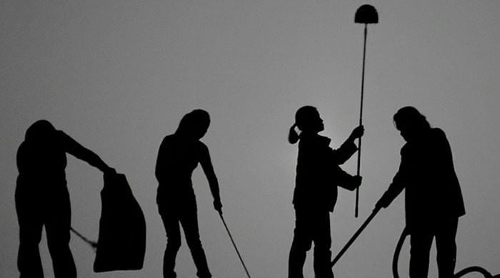 The domestic workers model The domestic workers model