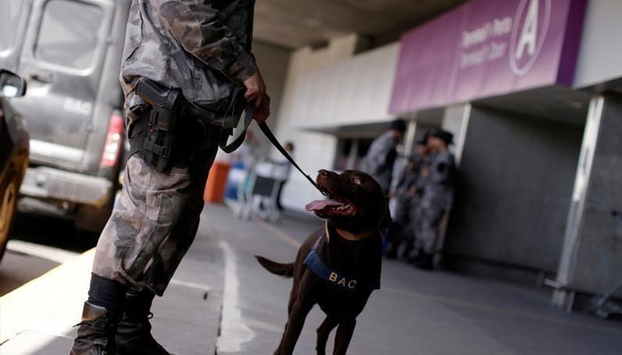 Deadly school shooting reported in São Paulo