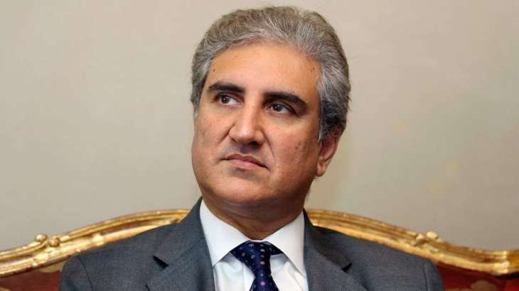FM Qureshi writes letters to party leaders for consultations on NAP