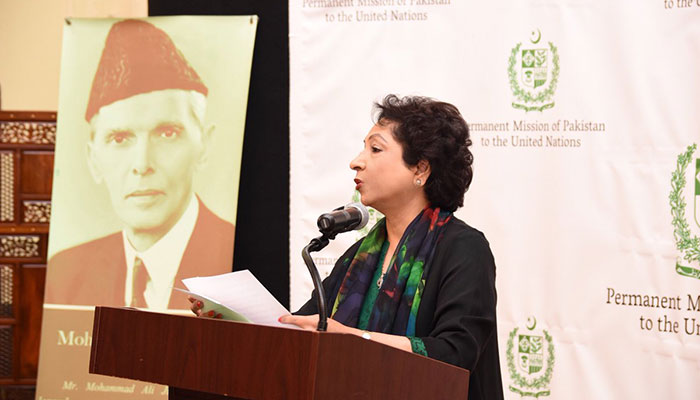 Public confidence in Pakistan's future at unprecedented level: Maleeha Lodhi 