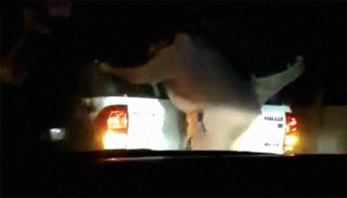 Karachi police officers allegedly 'harassing' passengers in car captured on video