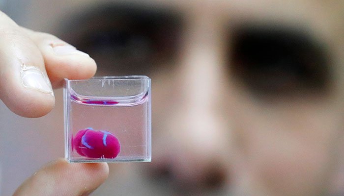 First 3D print of heart with human tissue, vessels unveiled