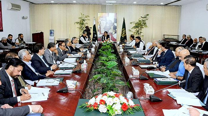 ECC forms four-member committee to oversee Ramazan package implementation