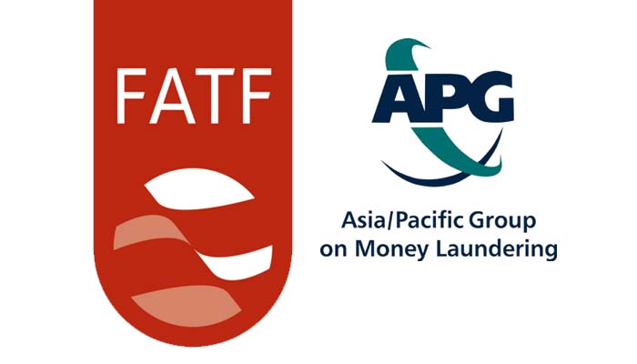 Pakistan delegation submits implementation report to FATF Asia Pacific Group
