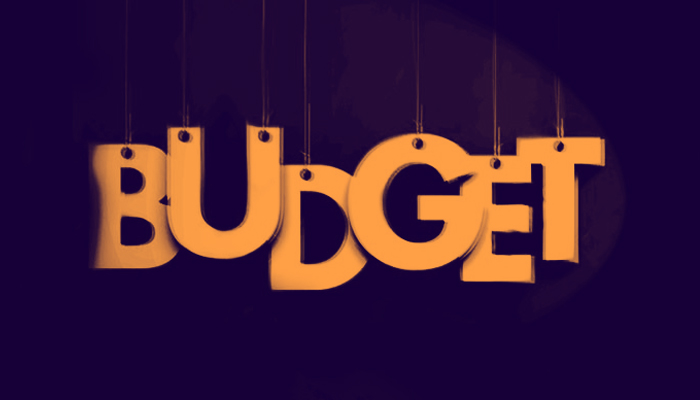Federal Budget 2019-20: 10 percent cut in Cabinet members' salaries