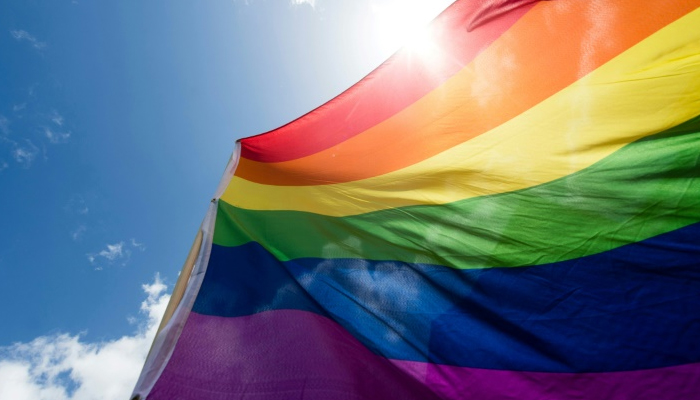 Botswana High Court decriminalises homosexuality