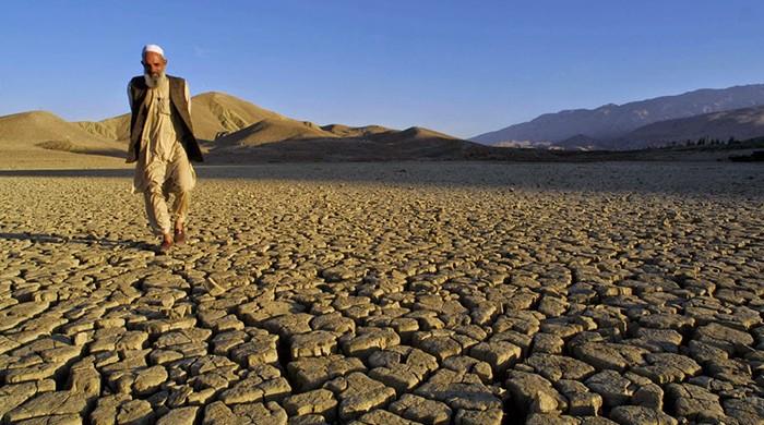 Federal Budget 2019-20: Rs7,579 million allocated for climate change 