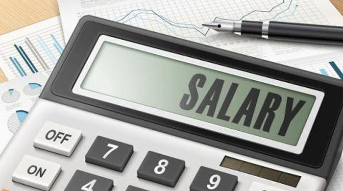 Federal Budget 2019-20: 10% ad hoc increase in salaries of government employees