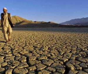 Federal Budget 2019-20: Rs7,579 million allocated for climate change 