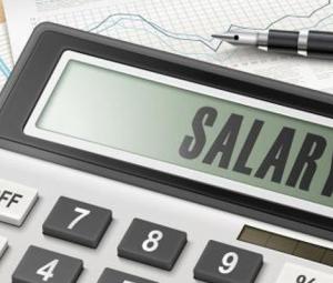 Federal Budget 2019-20: 10% ad hoc increase in salaries of government employees