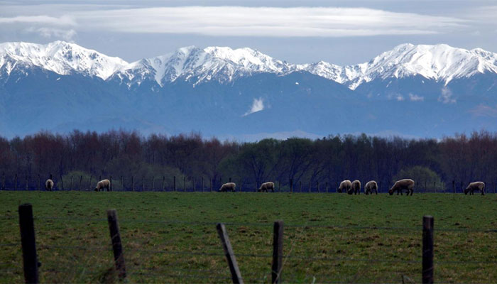 Missing British hiker found dead in New Zealand: police