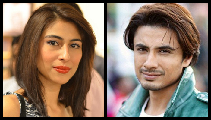 Ali Zafar witness says Meesha Shafi's allegations tarnished alleged harasser's image