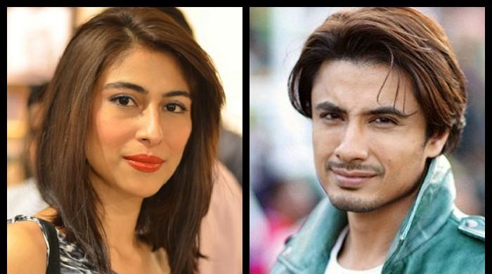 Ali Zafar witness says Meesha Shafi's allegations tarnished alleged harasser's image