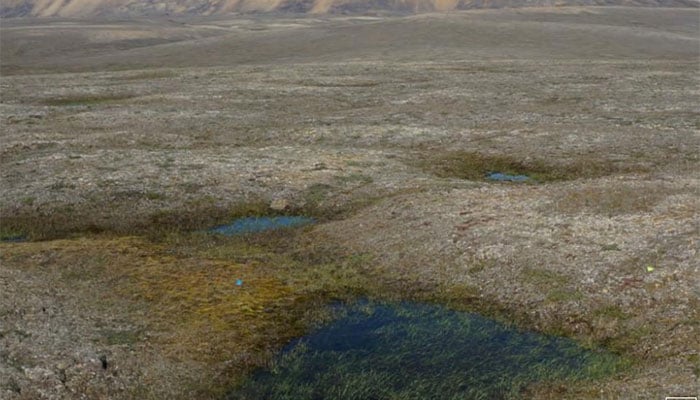 Scientists amazed as Canadian permafrost thaws 70 years early