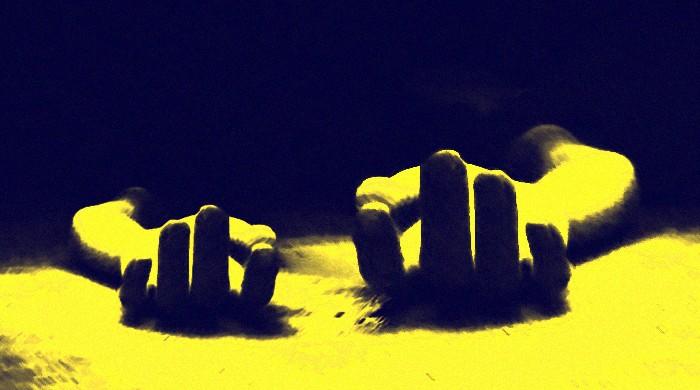 Raiwind man murders wife, mother-in-law with axe in anger