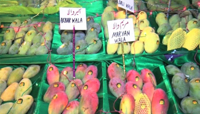 Different types of mangoes are presented at the Mango Festival in Multan, Pakistan, July 8, 2019. Geo.tv/via Author