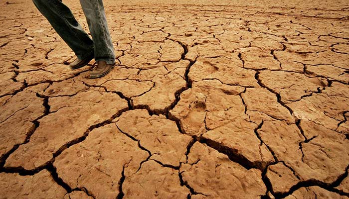 As water disappears, parched southern Pakistan farmers march north