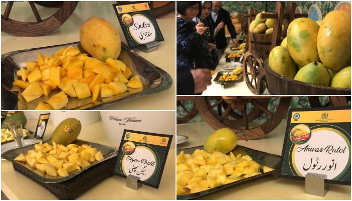 'King of fruits' delights Dubai residents at 'Pakistan Mango Festival'