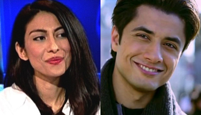 Hearing of Ali Zafar's defamation case against Meesha Shafi adjourned to Aug 8