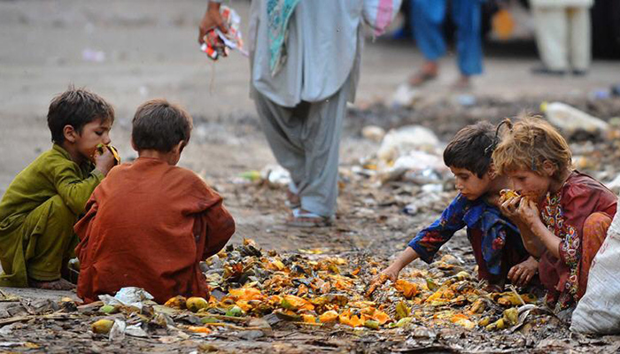 Pakistan presents progress report on anti-poverty development plans to UN