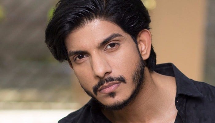 Mohsin Abbas Haider granted interim bail in domestic violence case but let go from job