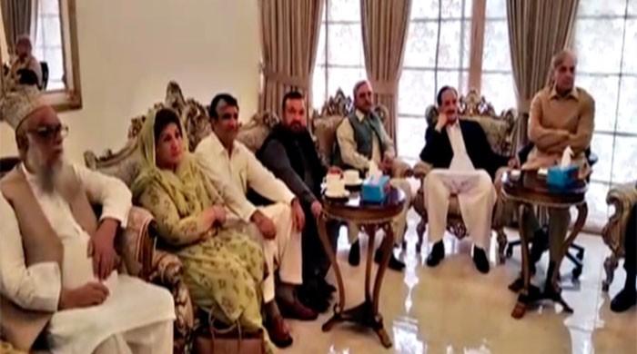 Shehbaz Sharif vows strict action against senators who ‘sold their conscience’