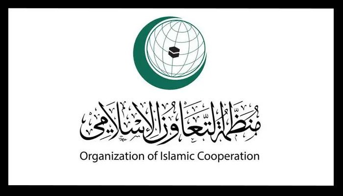 OIC concerned over Kashmir, 'additional paramilitary forces & use of banned cluster munition'