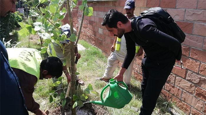 Climate Change: The young Pakistani activist striving to save the environment