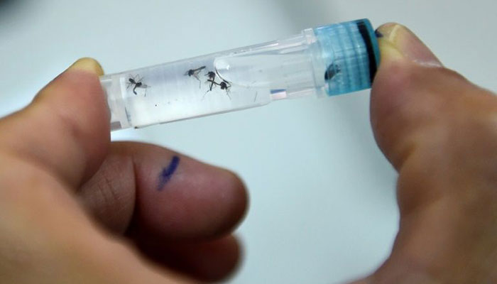 What is dengue and why is it so widespread this year?
