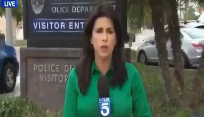 Reporter goes viral for saying she contacted dead man 'for comment' live on air