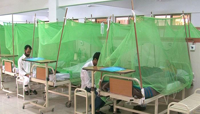 Pakistan's centre, provinces team up to contain dengue epidemic as 10,000 test positive