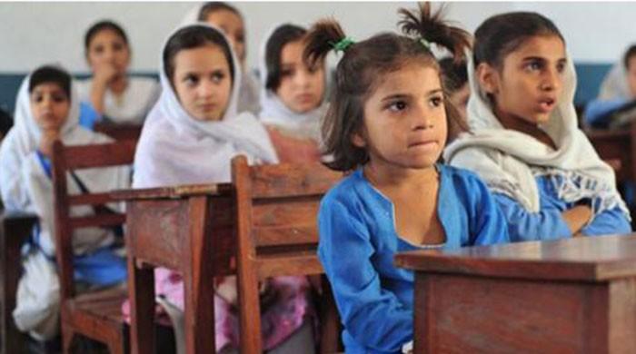 Educating guinea pigs