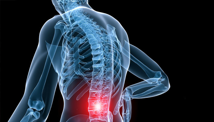 Seeking physical therapy for low back pain likely to help avoid opioids: study